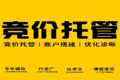 SEM推广在本地化服务中的应用案例